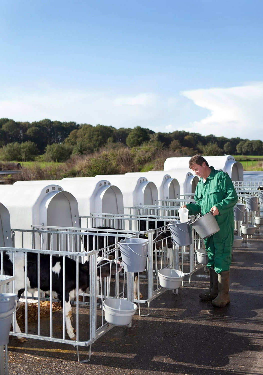 Gallery image of CalfOTel calf hutches; this is a worker feeding a calk in an Individual hutch