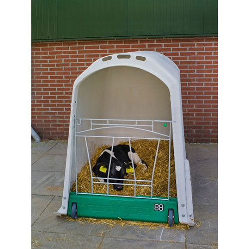 A sleepy calf alone in a calf hutch