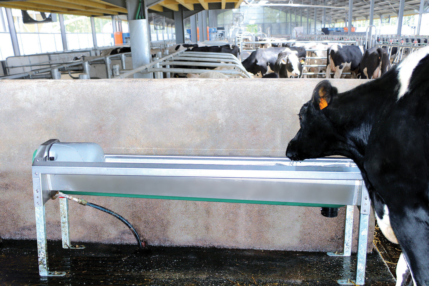 GV Series Stainless Steel Rapid Drain Trough