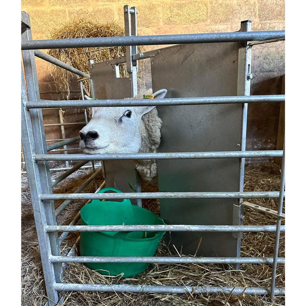 Lambing Bundle Offer