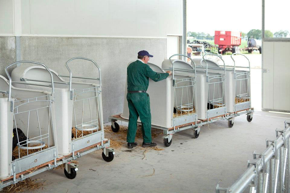 Gallery image of CalfOTel calf hutches; this is a worker wheeling an Open Top Premium Triple out of a barn