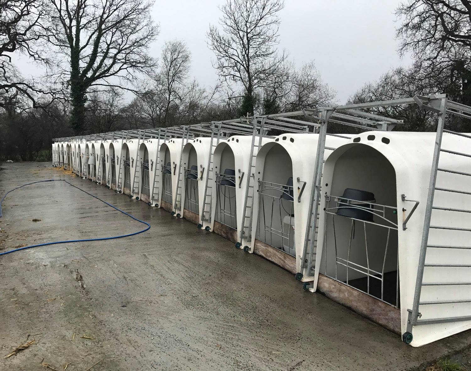 Gallery image of CalfOTel calf hutches; a group of XL2 calf hutches with their fences folded up