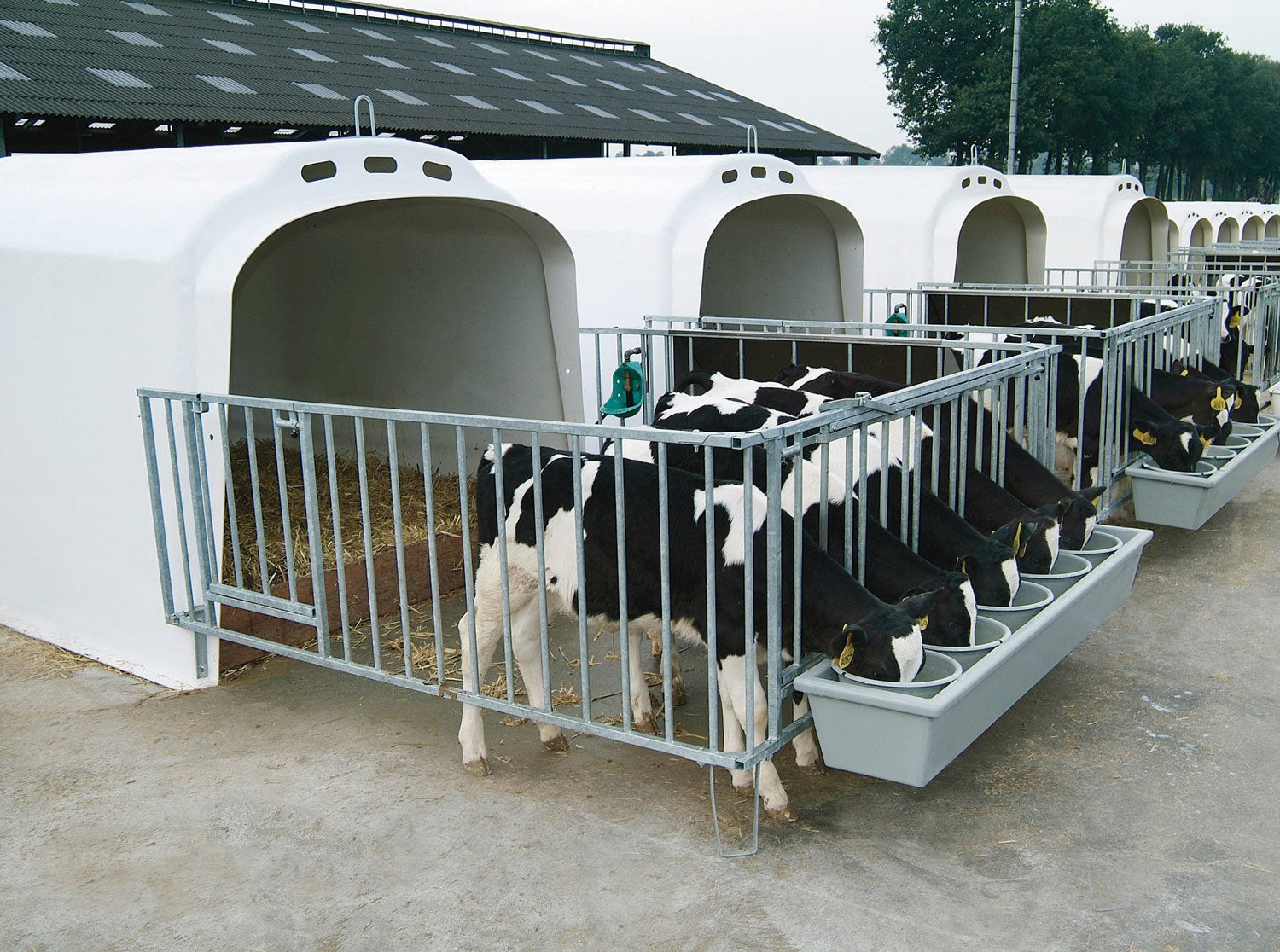 Gallery image of CalfOTel calf hutches; this is an XL5