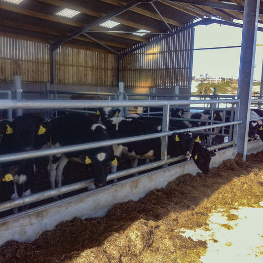 Pedigree Extendable 3 Bar Feed Barrier