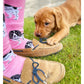 Spaniel Crew Socks