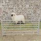 Interlocking Lambing Hurdle (7 railed)